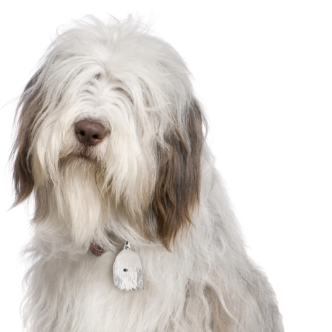 My Family | Hundetegn Bearded Collie | OUTLET